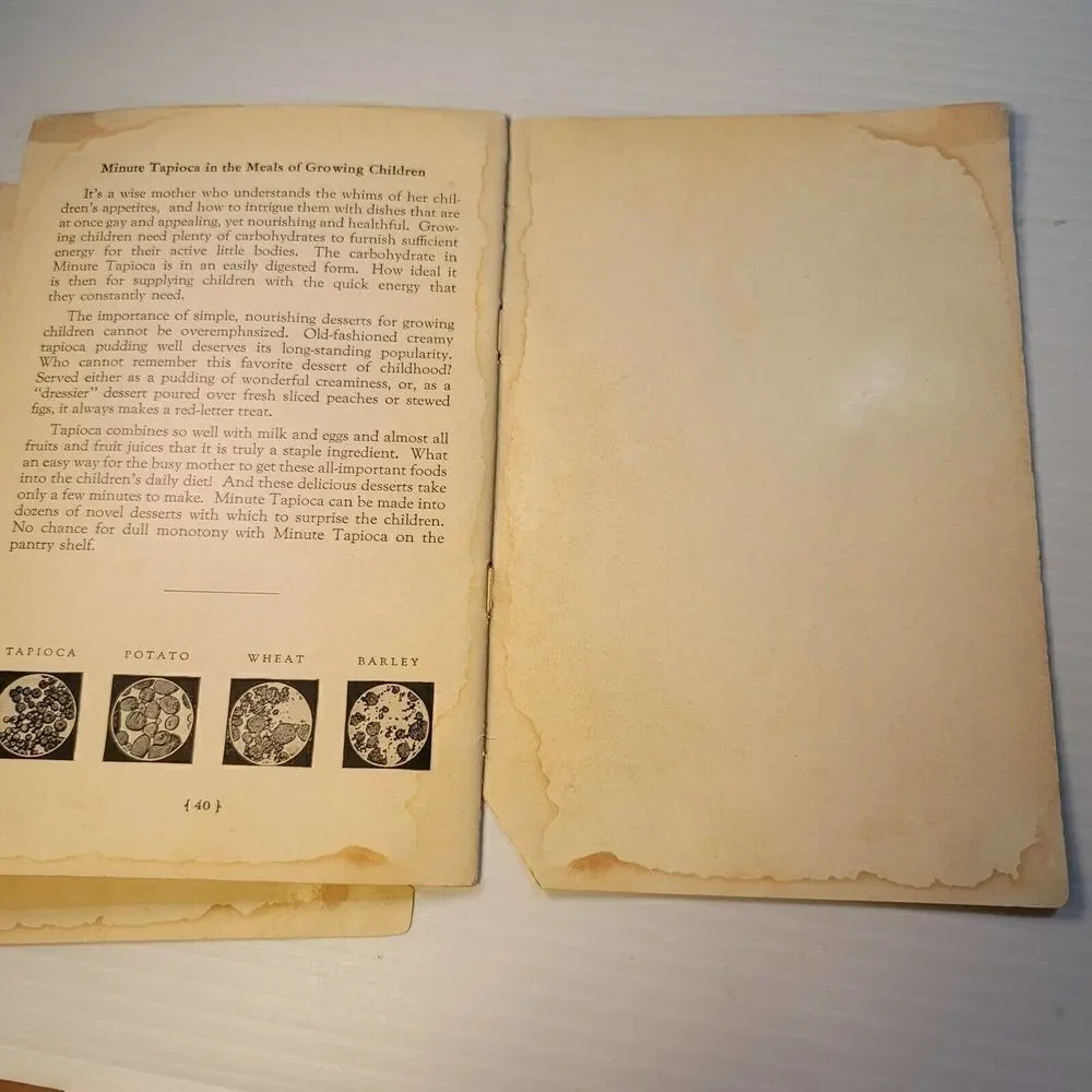 Vintage 1929 Cook Book A Cooks Tour Minute Tapioca